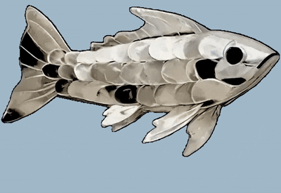 fish